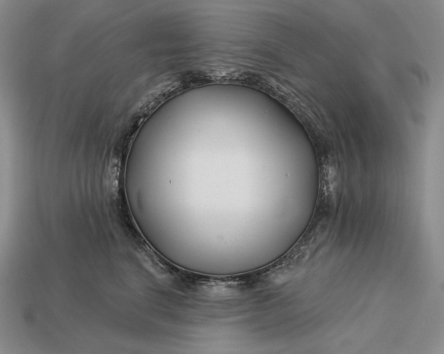 X0000113160664200909181812