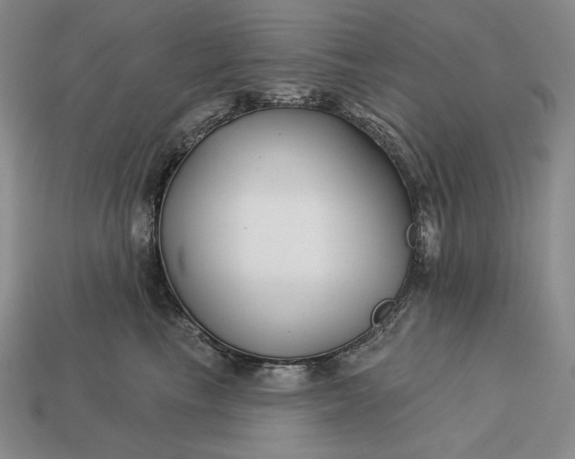 X0000113160665200909181812