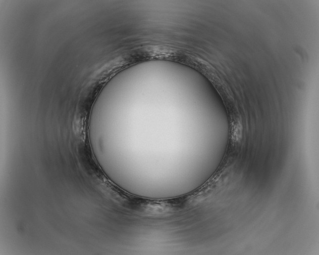 X0000113160666200909181812