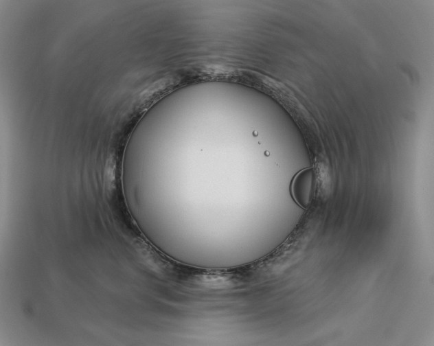 X0000113160668200909181812