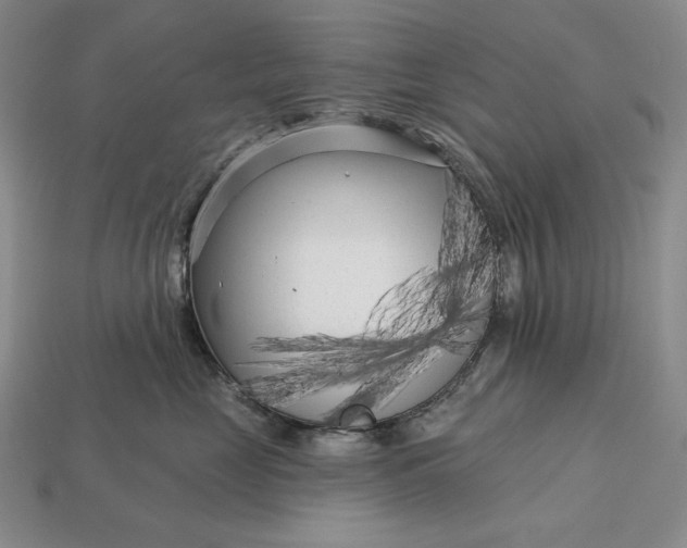 X0000113160669200909181812