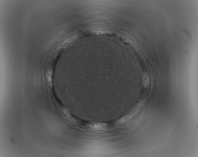 X0000113160670200909181812