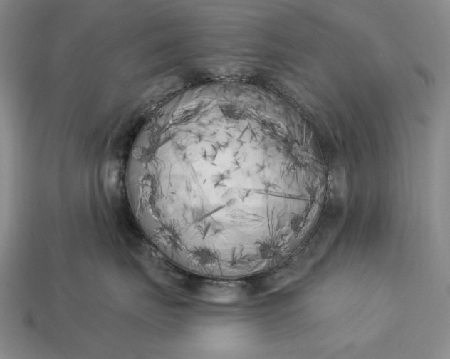 X0000113160671200909181812