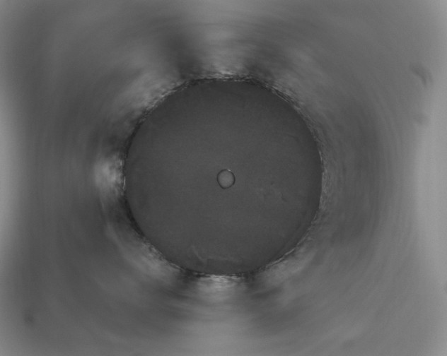 X0000113160672200909181812