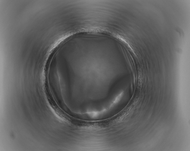 X0000113160674200909181812