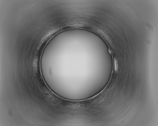 X0000113160675200909181812