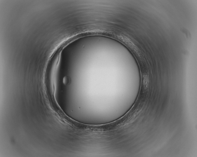 X0000113160676200909181812