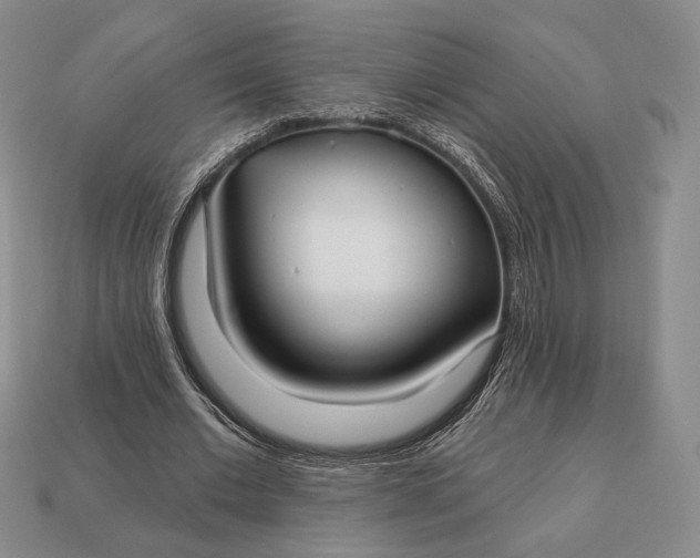 X0000113160677200909181812