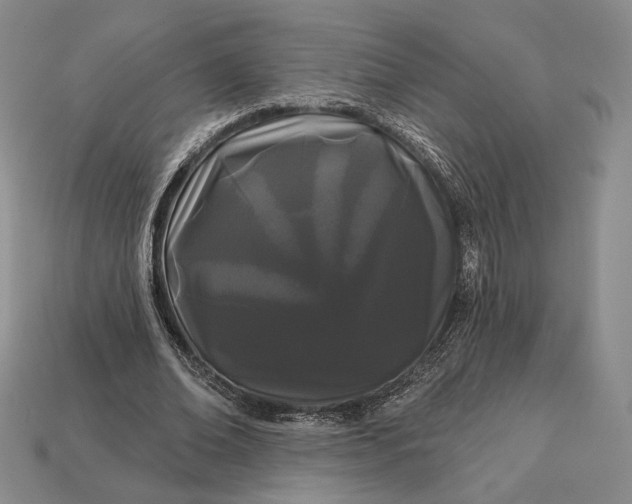 X0000113160678200909181812