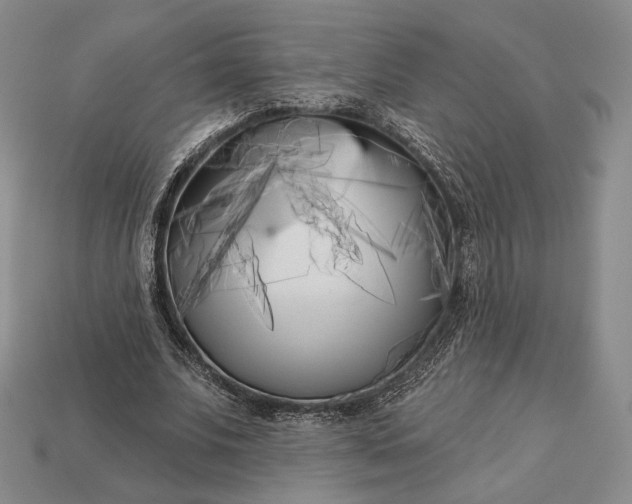 X0000113160679200909181812