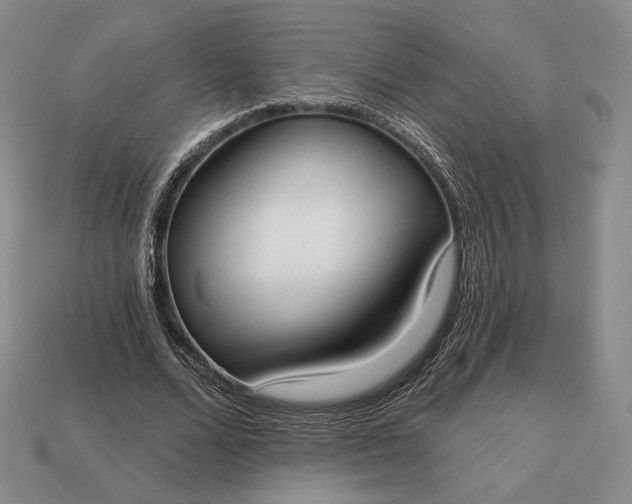 X0000113160680200909181812