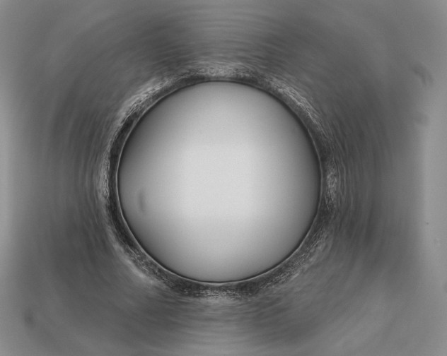 X0000113160682200909181812