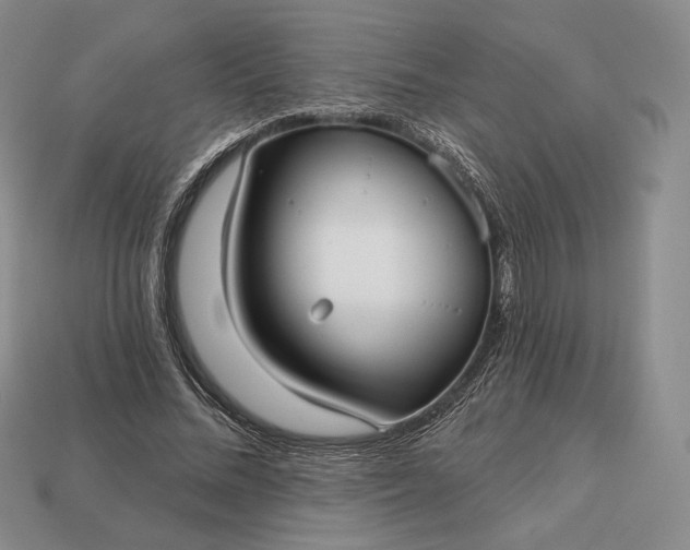 X0000113160684200909181812