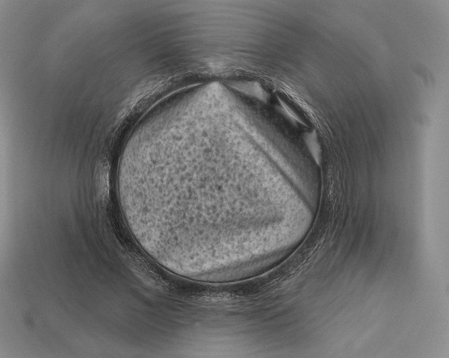 X0000113160685200909181812