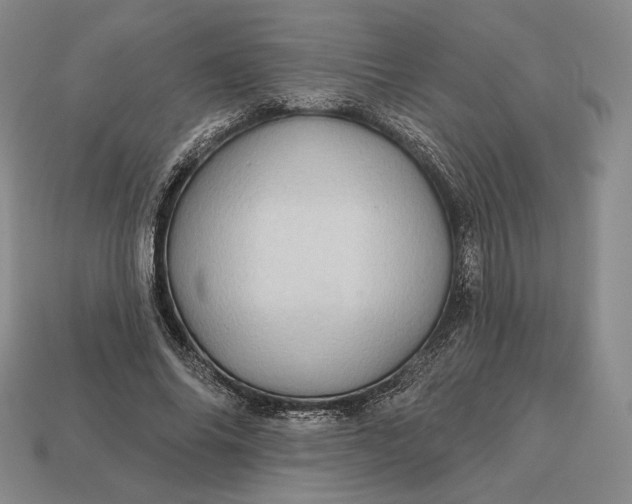 X0000113160686200909181812