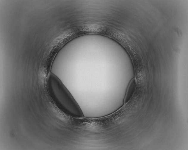 X0000113160688200909181812