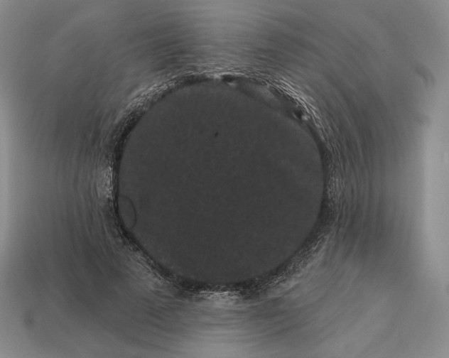 X0000113160689200909181812