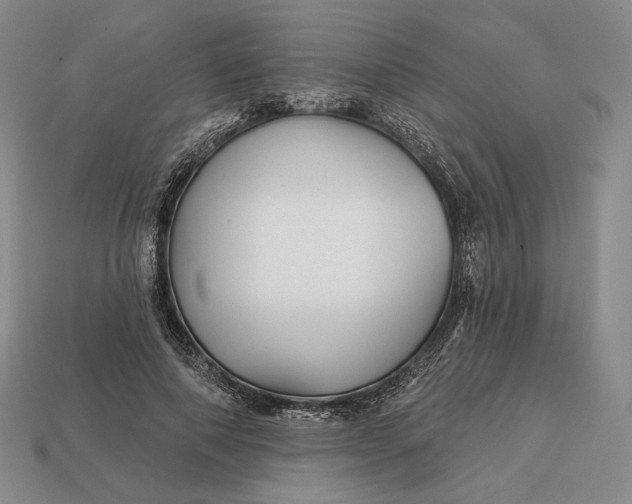 X0000113160690200909181812