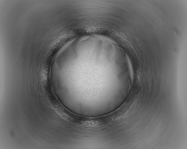 X0000113160691200909181812