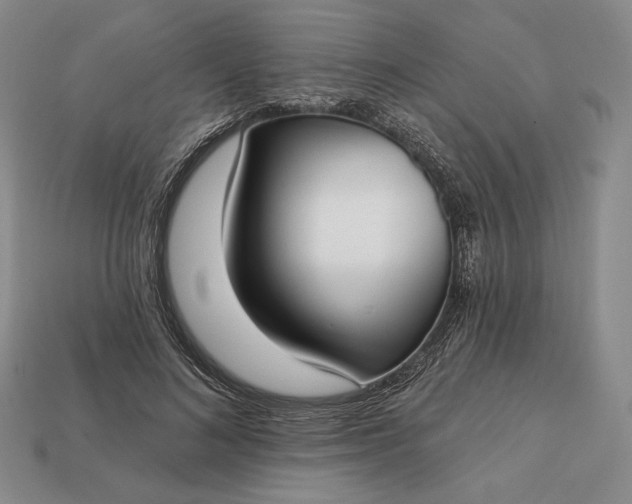 X0000113160692200909181812