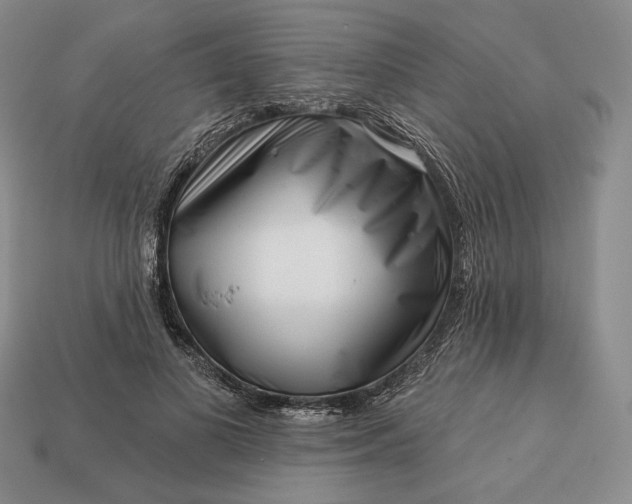 X0000113160693200909181812