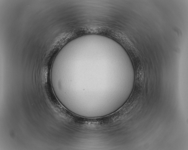 X0000113160694200909181812