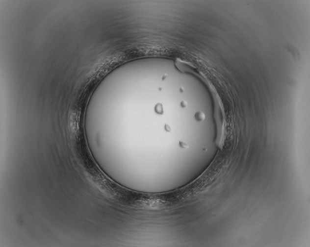 X0000113160695200909181812