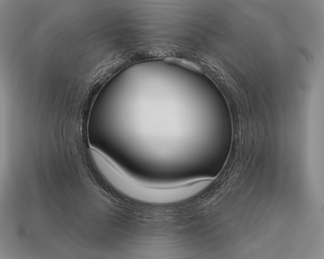 X0000113160696200909181812