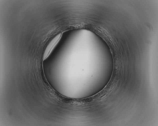 X0000113160697200909181812