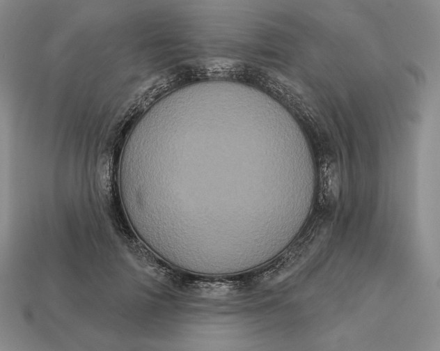 X0000113160698200909181812