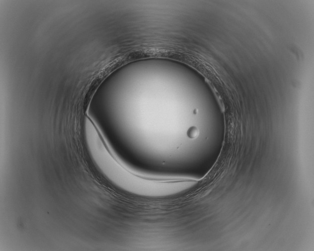 X0000113160700200909181811