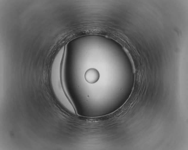 X0000113160701200909181811