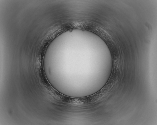 X0000113160702200909181811