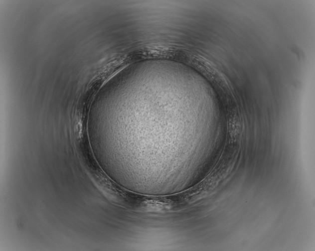 X0000113160703200909181811