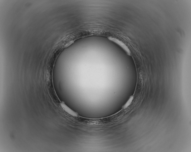 X0000113160705200909181811