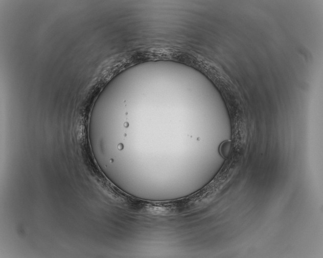 X0000113160706200909181811