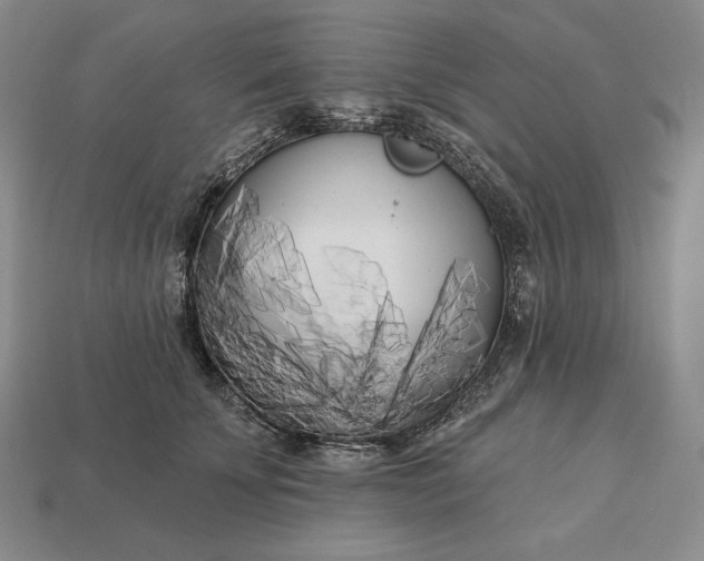 X0000113160707200909181811