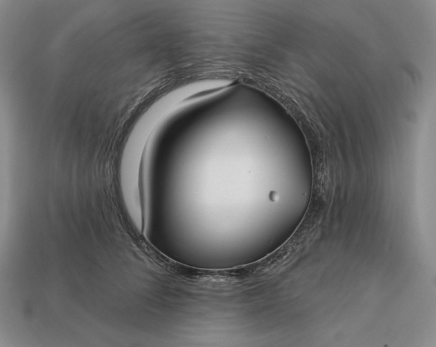 X0000113160708200909181811