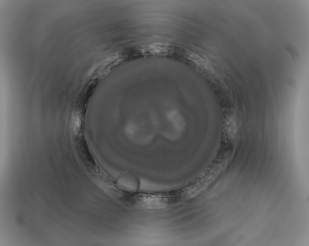 X0000113160709200909181811