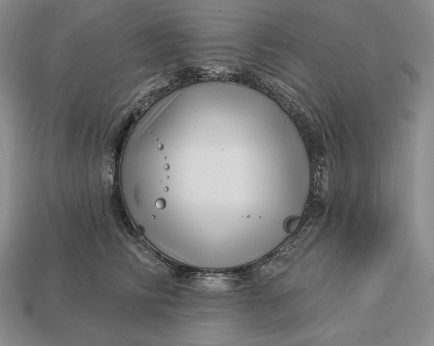 X0000113160710200909181811