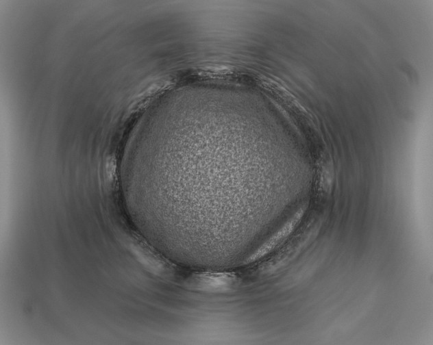 X0000113160711200909181811