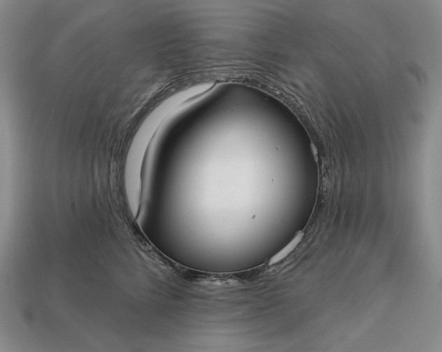 X0000113160712200909181811