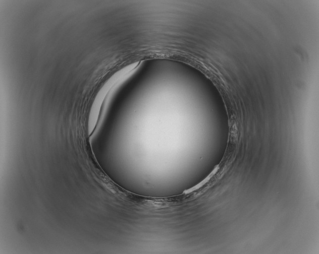 X0000113160713200909181811