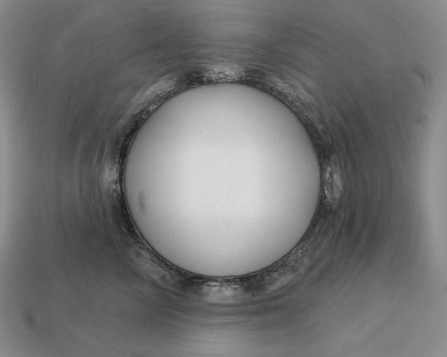 X0000113160714200909181811