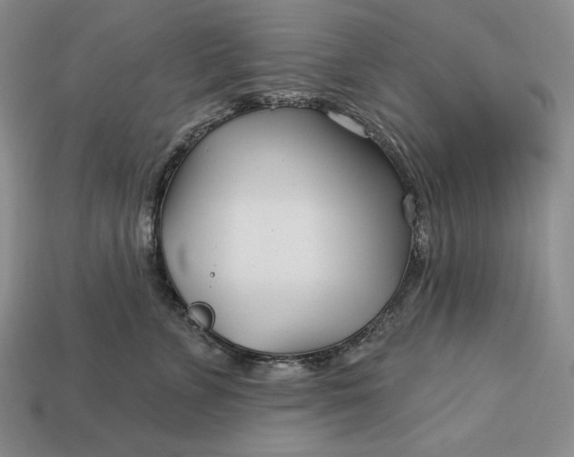 X0000113160715200909181811