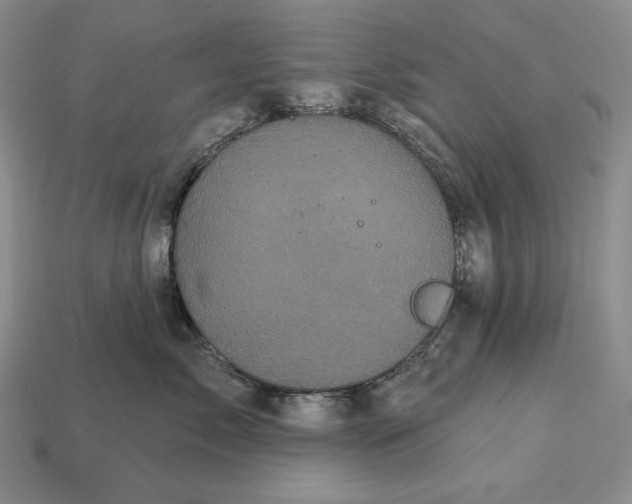 X0000113160717200909181811