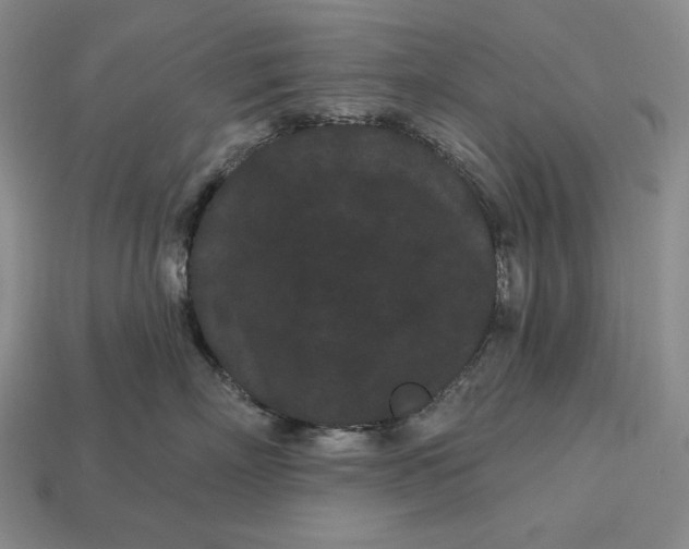 X0000113160718200909181811