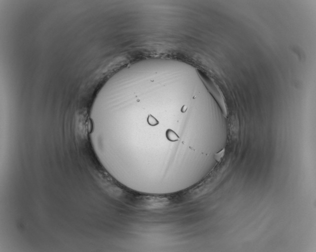 X0000113160719200909181811