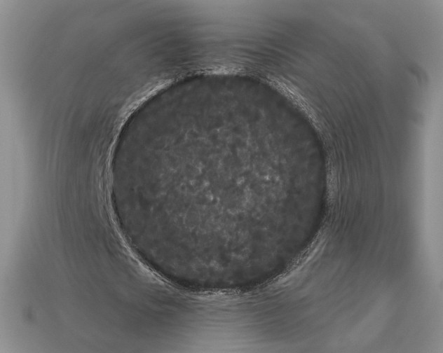 X0000113160721200909181811