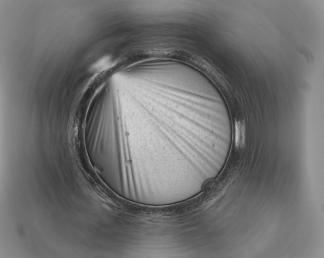 X0000113160723200909181811